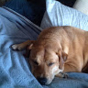 Meet your Posher, Tom